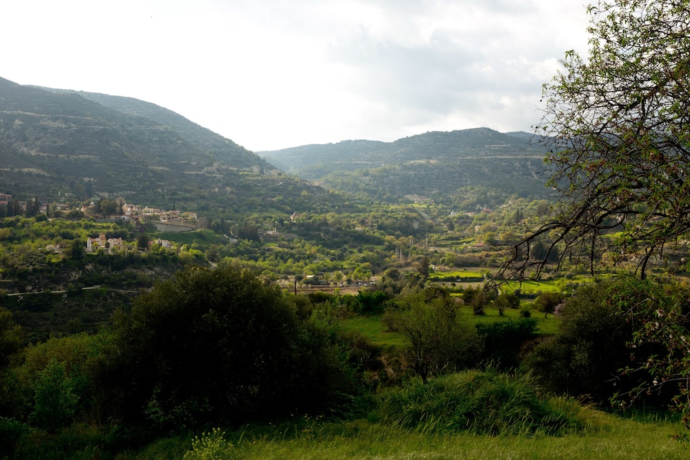 Old Olive Mill House by TrulyCyprus