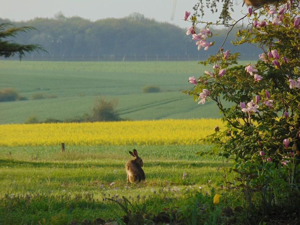 La Ferme aux Oies