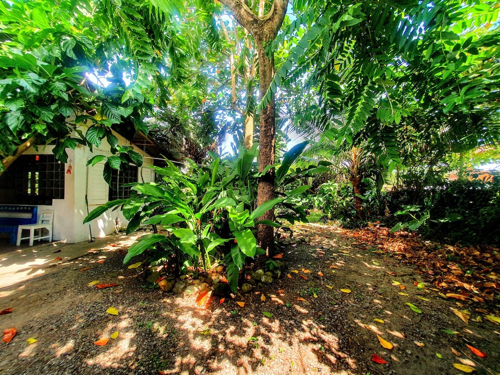 Arana House