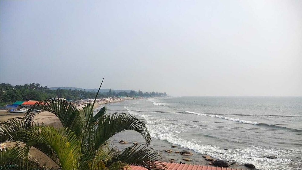 Photo 20
