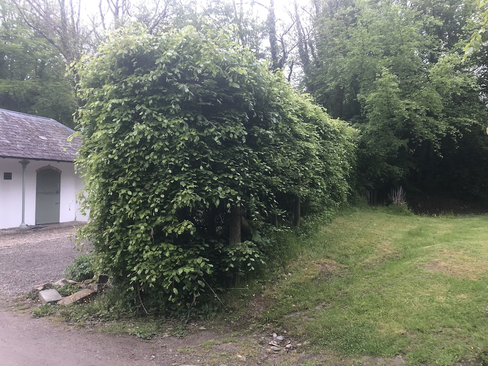 Photo 36