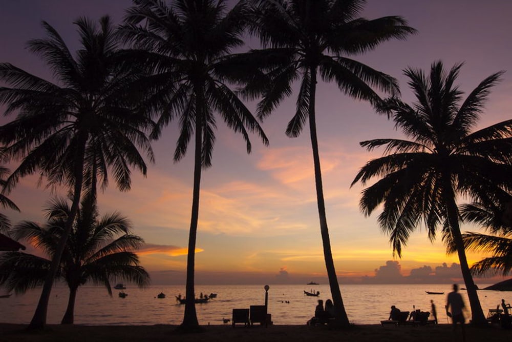 Palm Leaf Resort