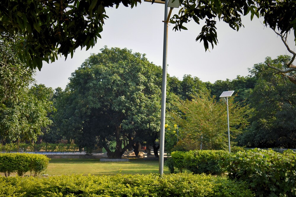 The Greenwich Resort
