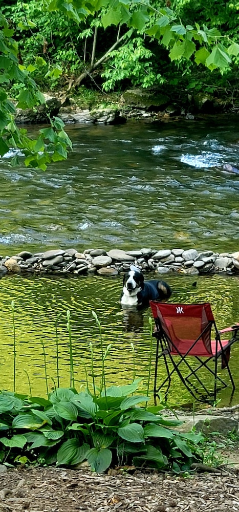 Bear Creek Lodge and Cabins in Helen Ga - Pet Friendly, River on Property, Walking Distance to downtown Helen