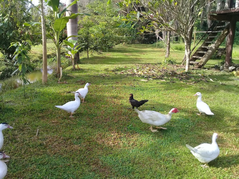 Baan Suan Jantra Home Stay