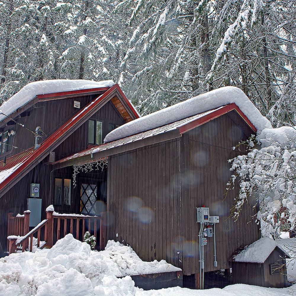 Four Stone Lodge Near Mt Rainier