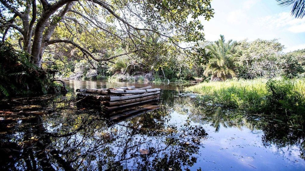 Royal Thonga Safari Lodge