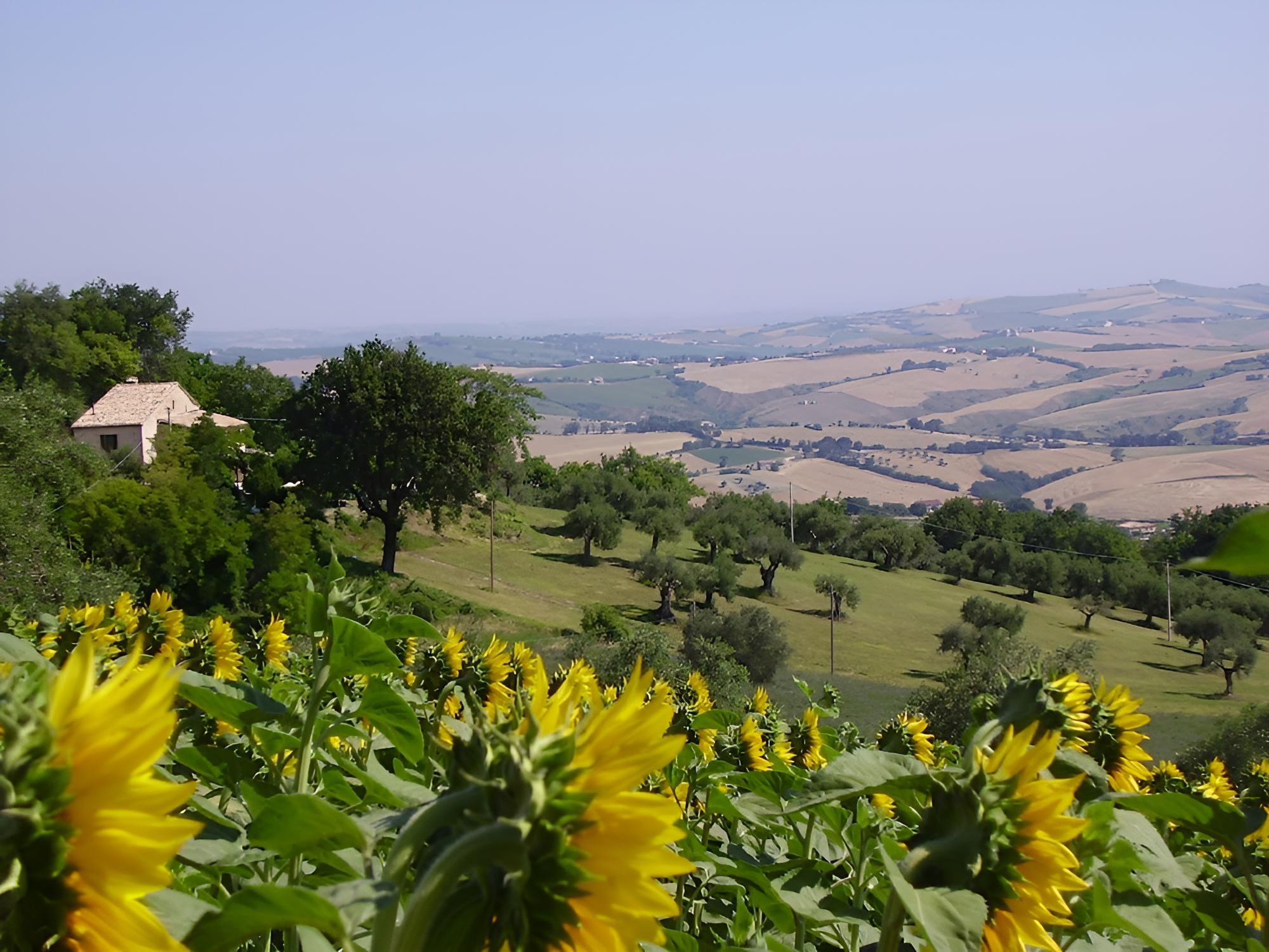 Il Sorger del Sole