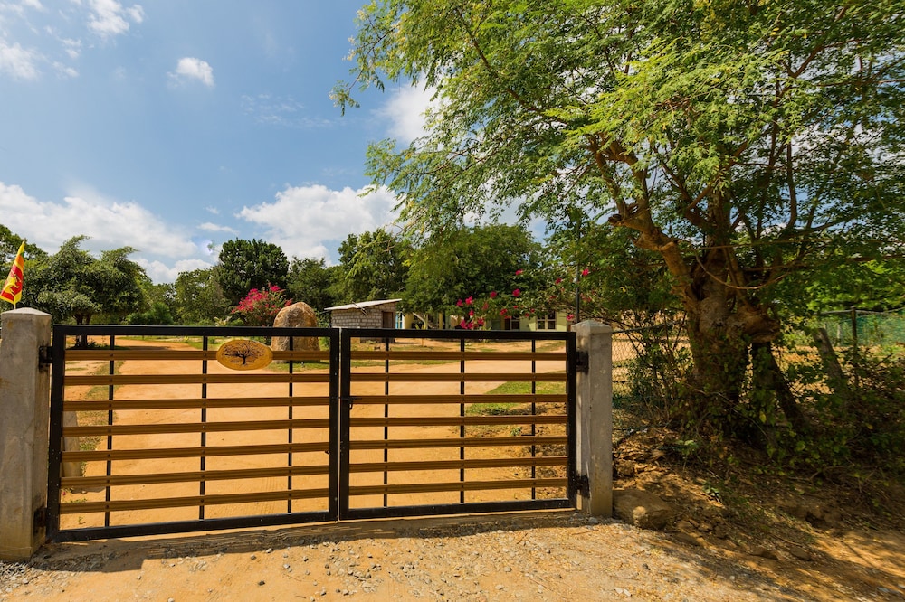 Forestville Yala
