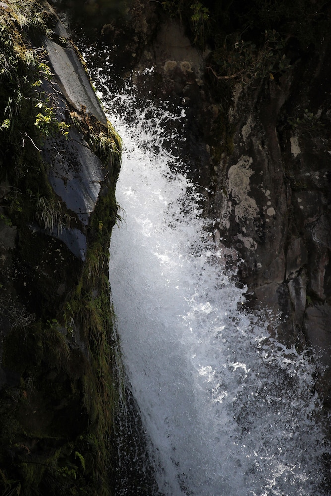 Dawson Falls Mountain Lodge