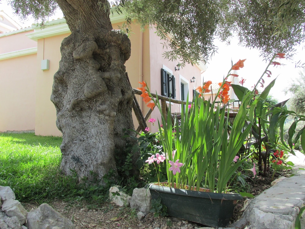 Harmony Villas