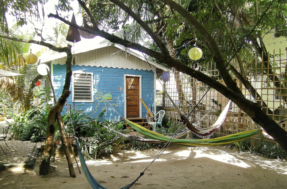 The Funky Dodo Backpackers