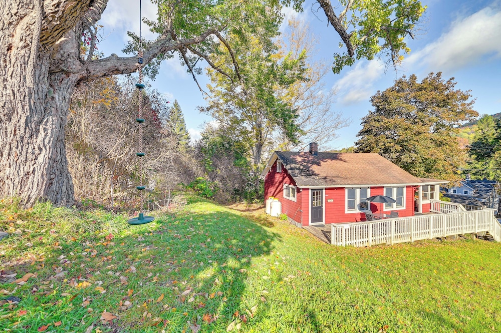 Photo 6