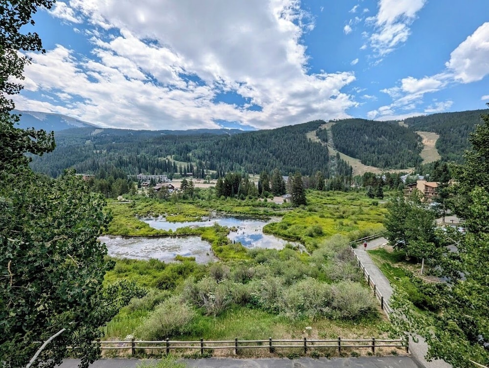 Cinnamon Ridge 1-141