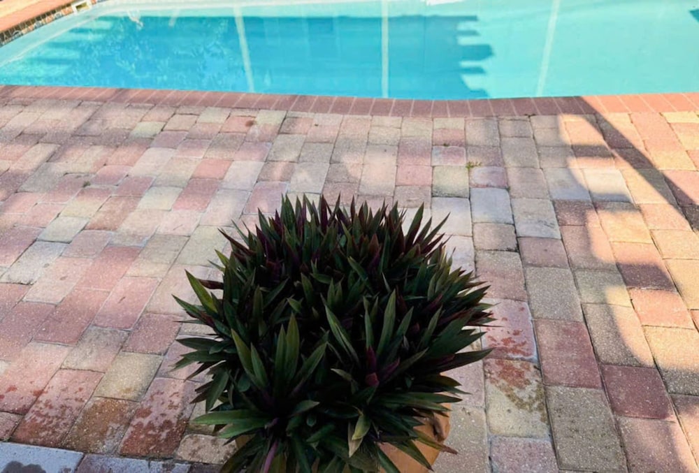 Pool Home in Seminole 5miles to Beach