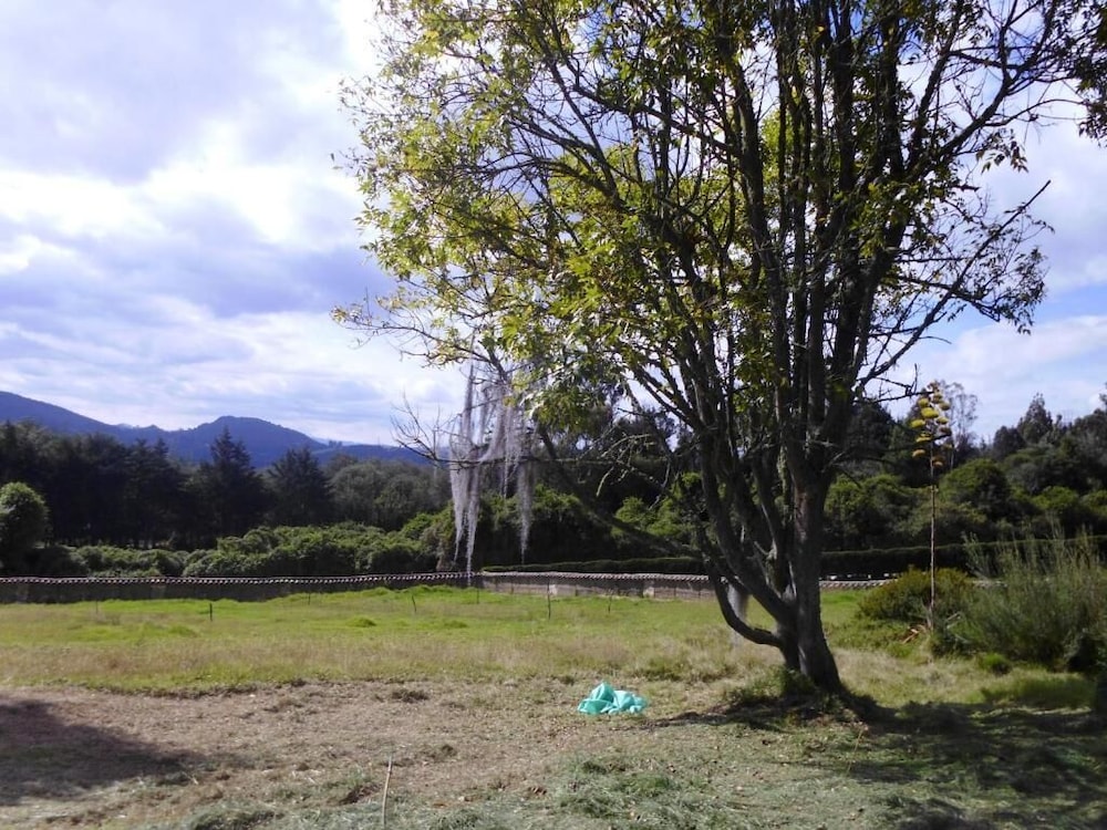 La Juanita Finca Verde