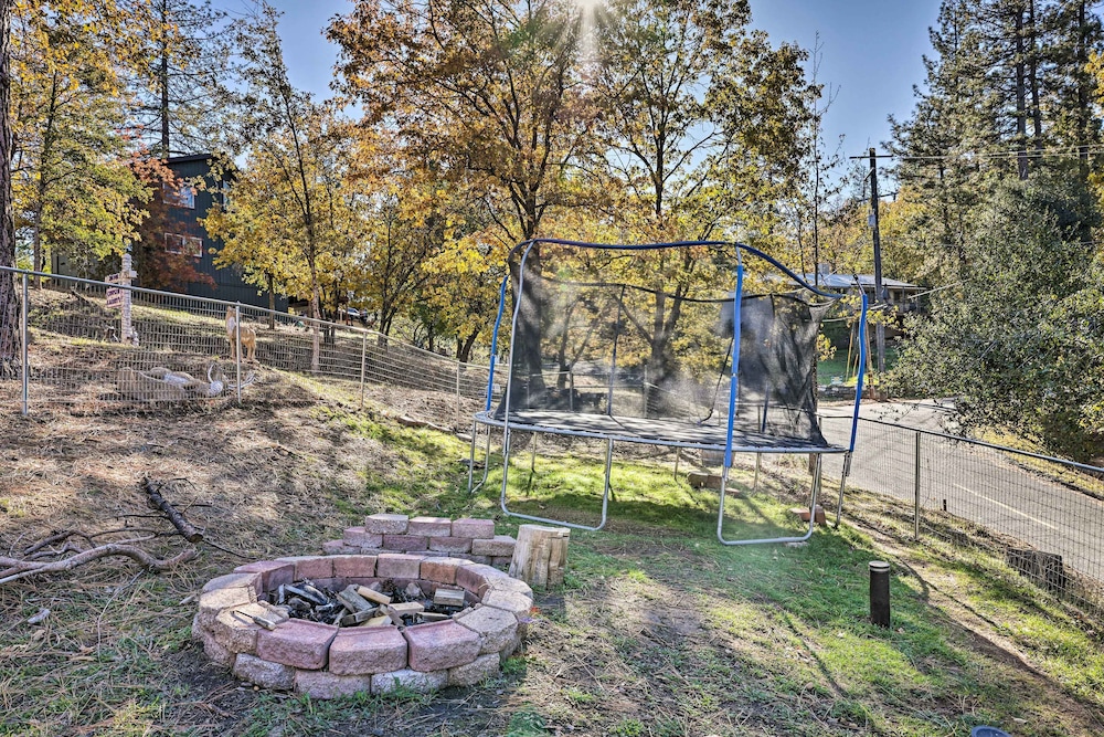 Photo 19