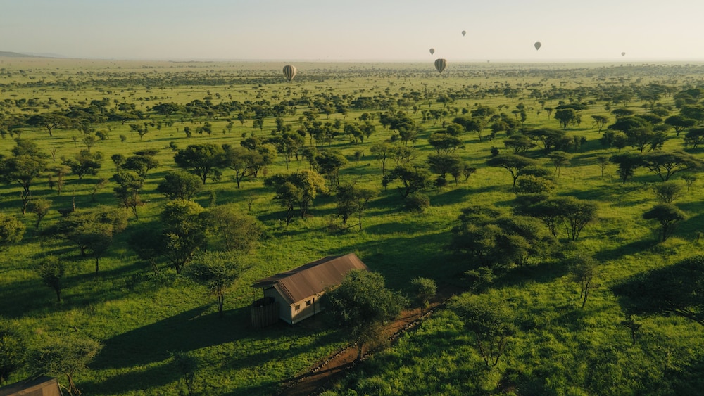 Awali Serengeti Camp