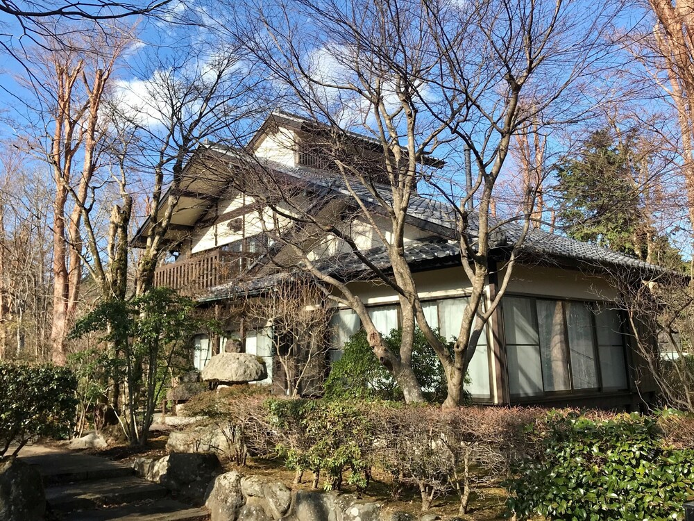 Photo 7