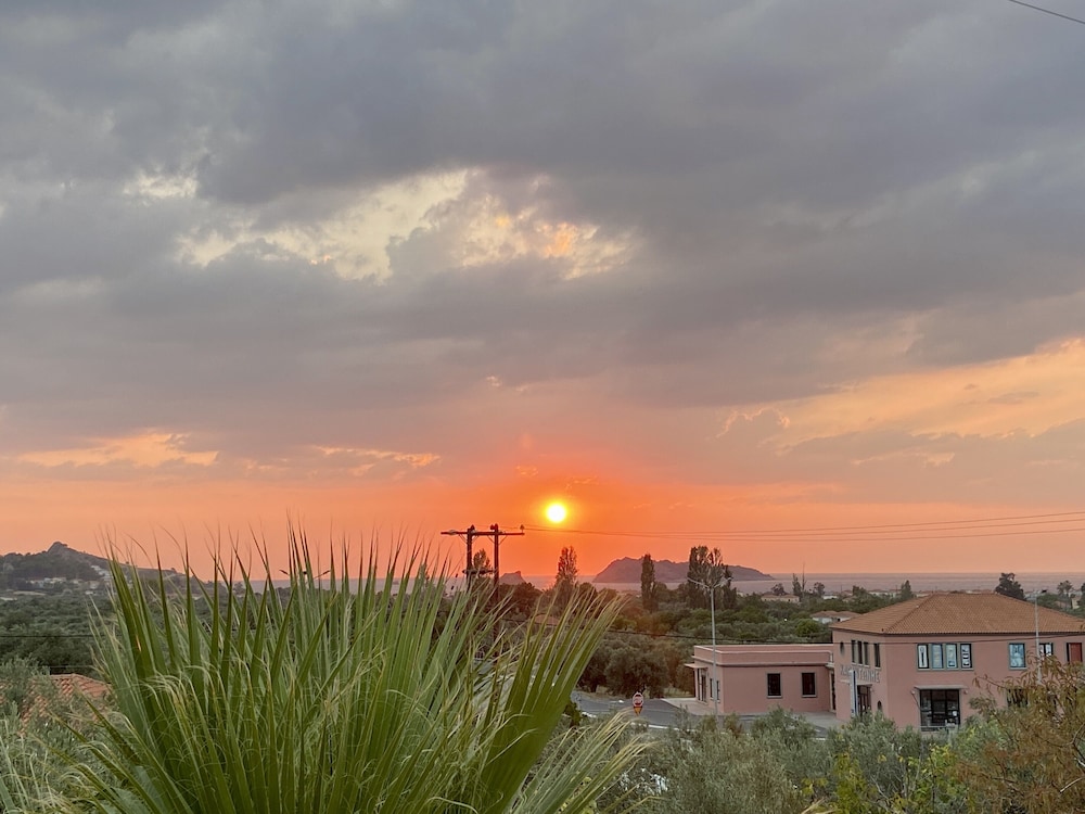 LASSIA STUDIOS photo 5