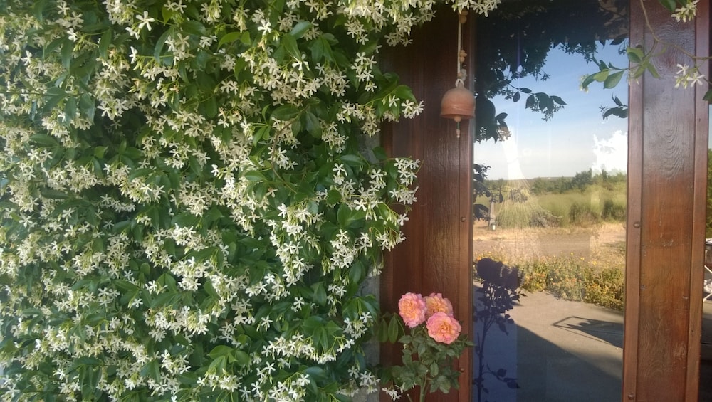 Chacra La Calandria B&B