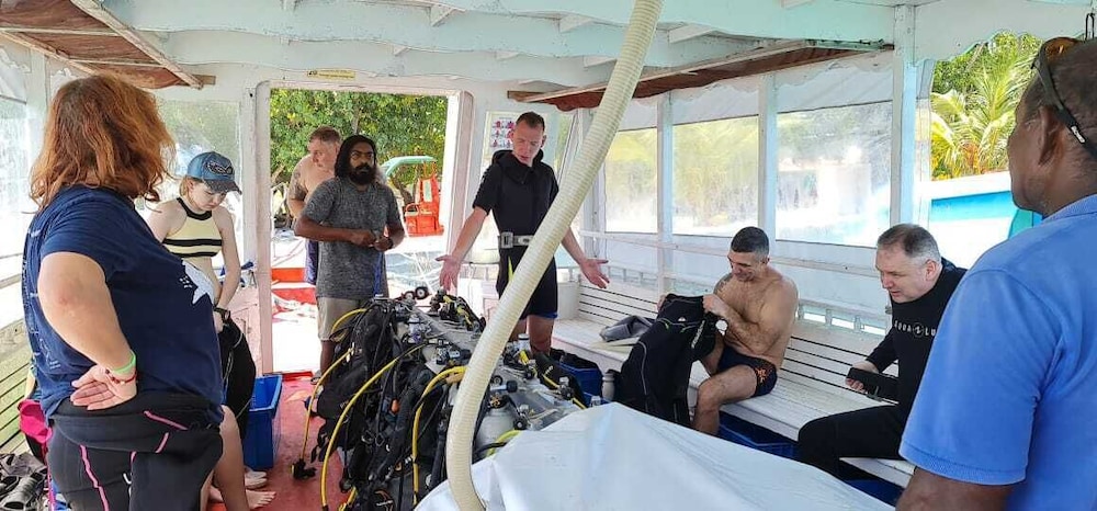 Photo 182