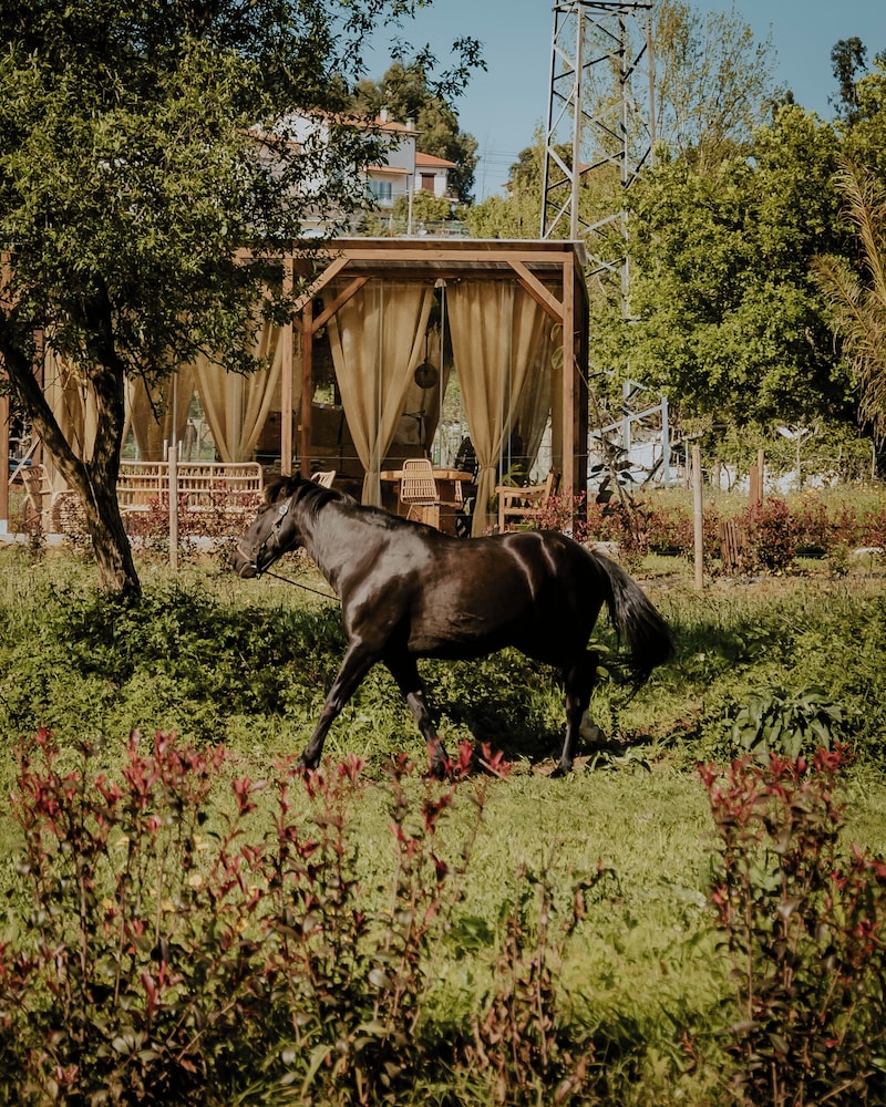 Bruval Eco Retreat & Eco Village