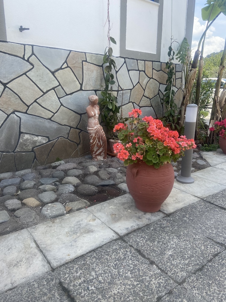 Anaxos Garden