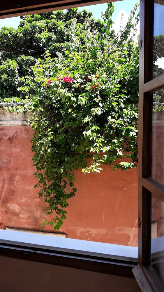 Jardim dos Aloés - Unique B&B, photo 20