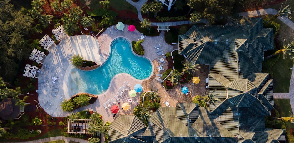 Incredible Apartment Just 15 Minutes From Disney view 5