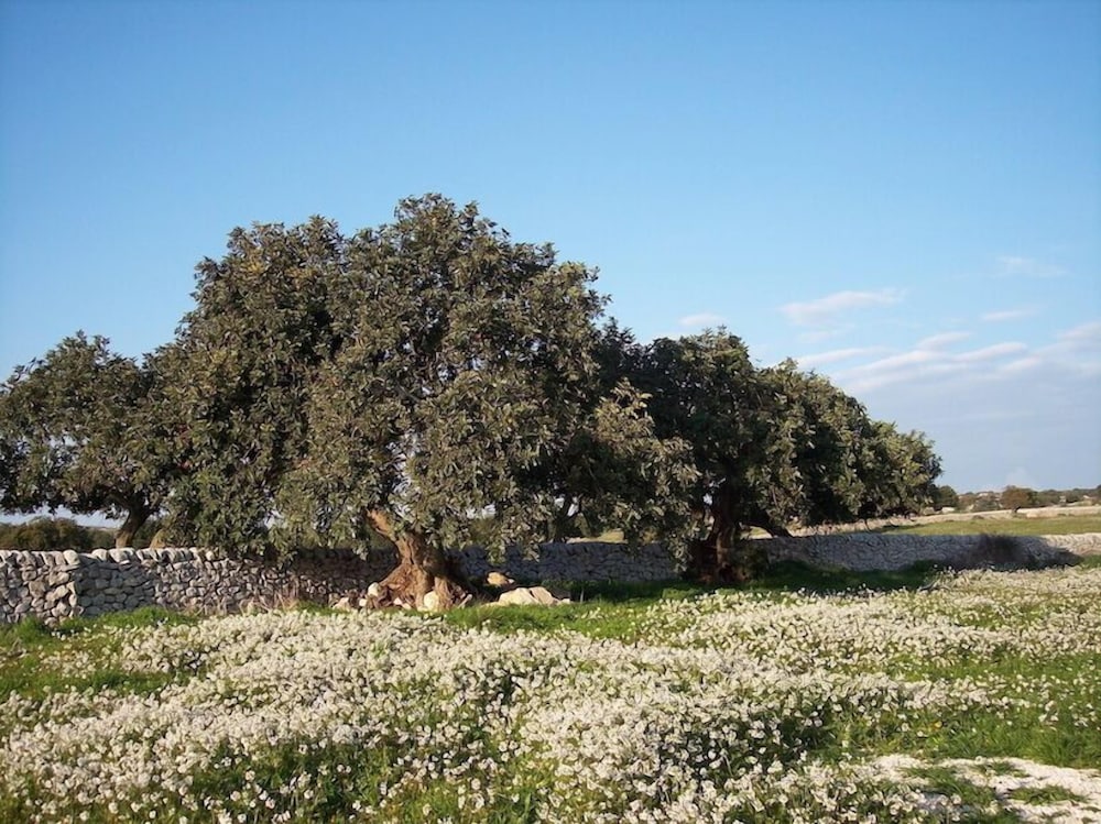 Case di Cutalia