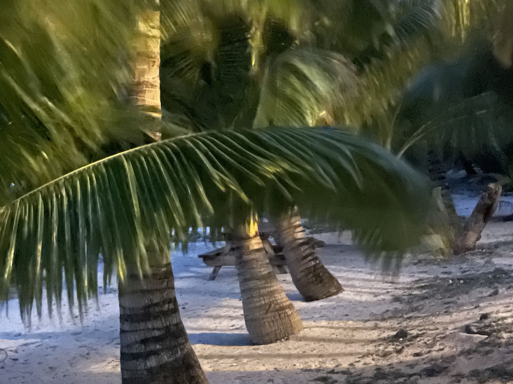 Rarotonga Villas