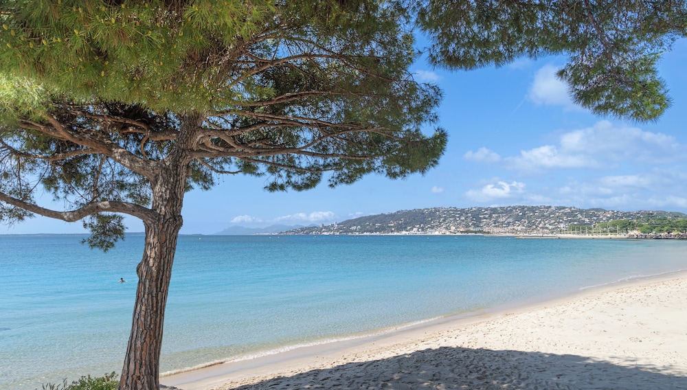 Les 15 Pins & La Mer