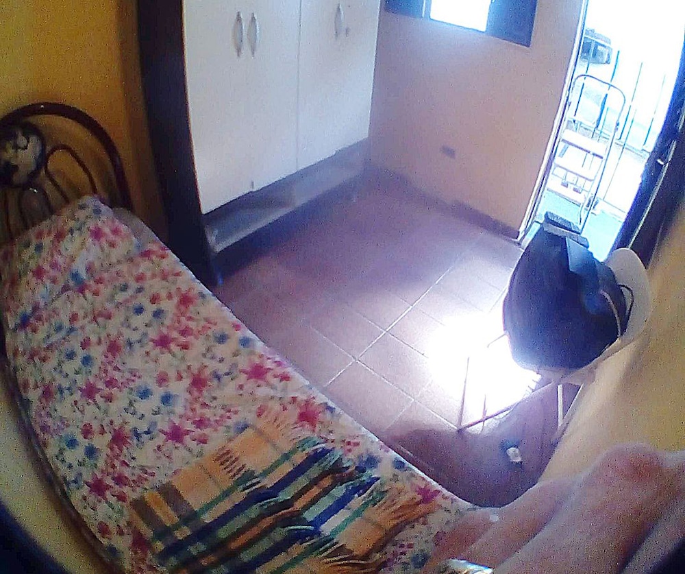 Photo 7