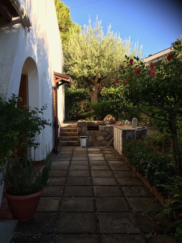 Photo 19