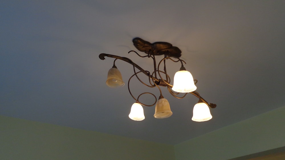 Mouses-X