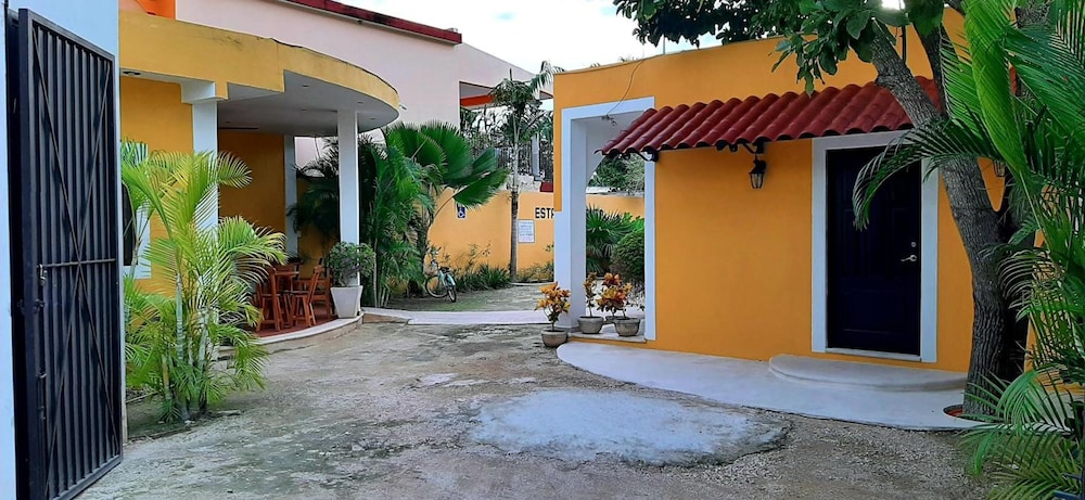 Photo 7
