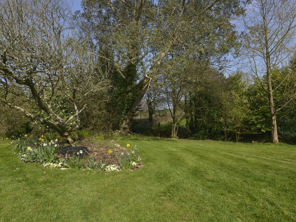 Photo 29