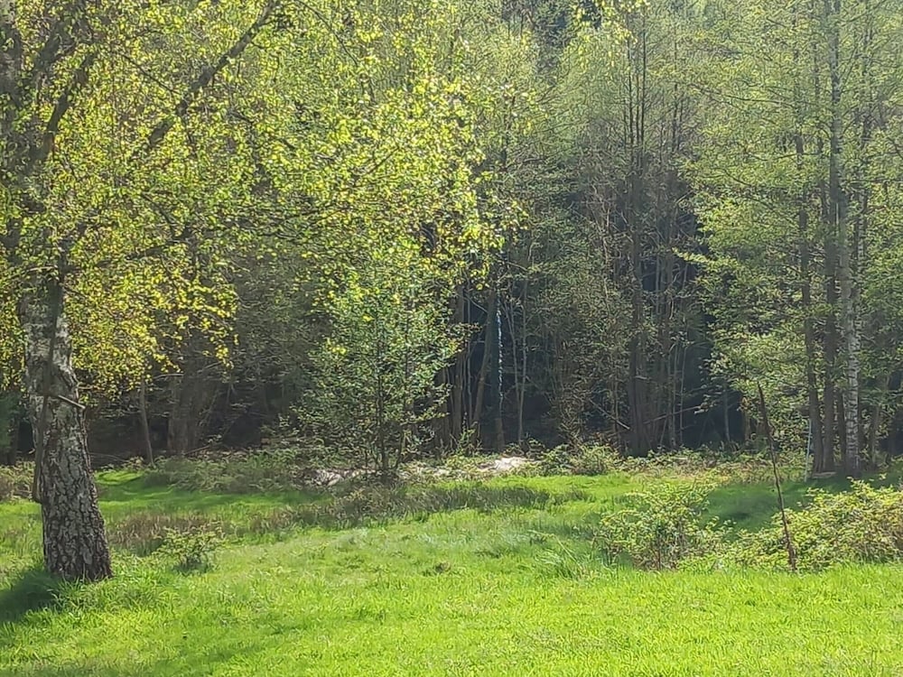 Photo 37