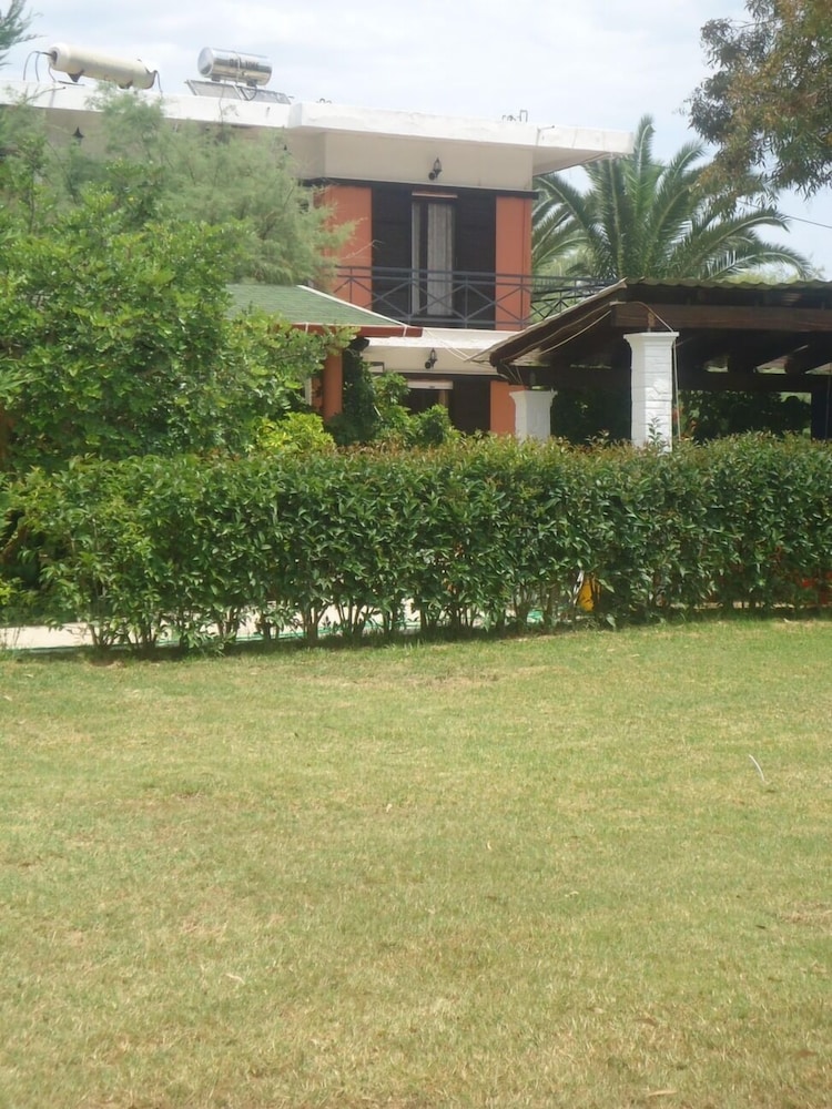 Photo 23