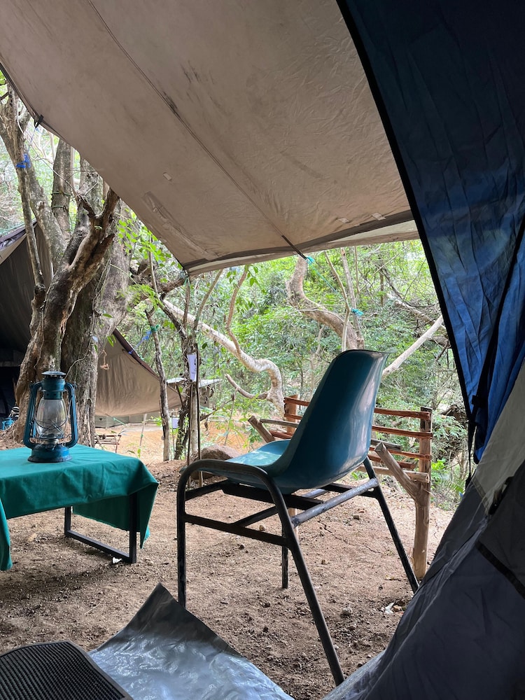 Wild Paradise Camp