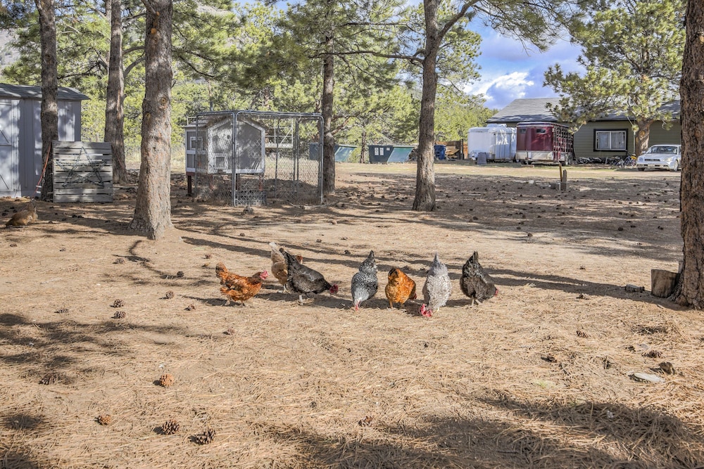 Cowboy Quarters view 3