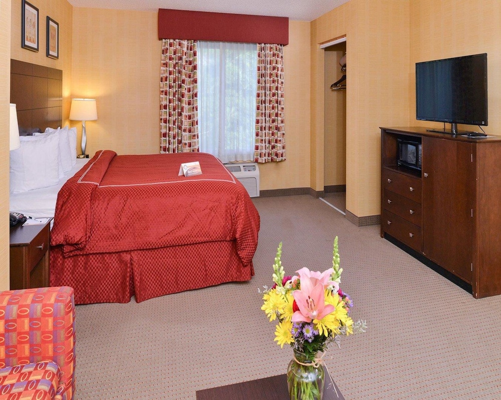 Quality Suites - Property Image 36
