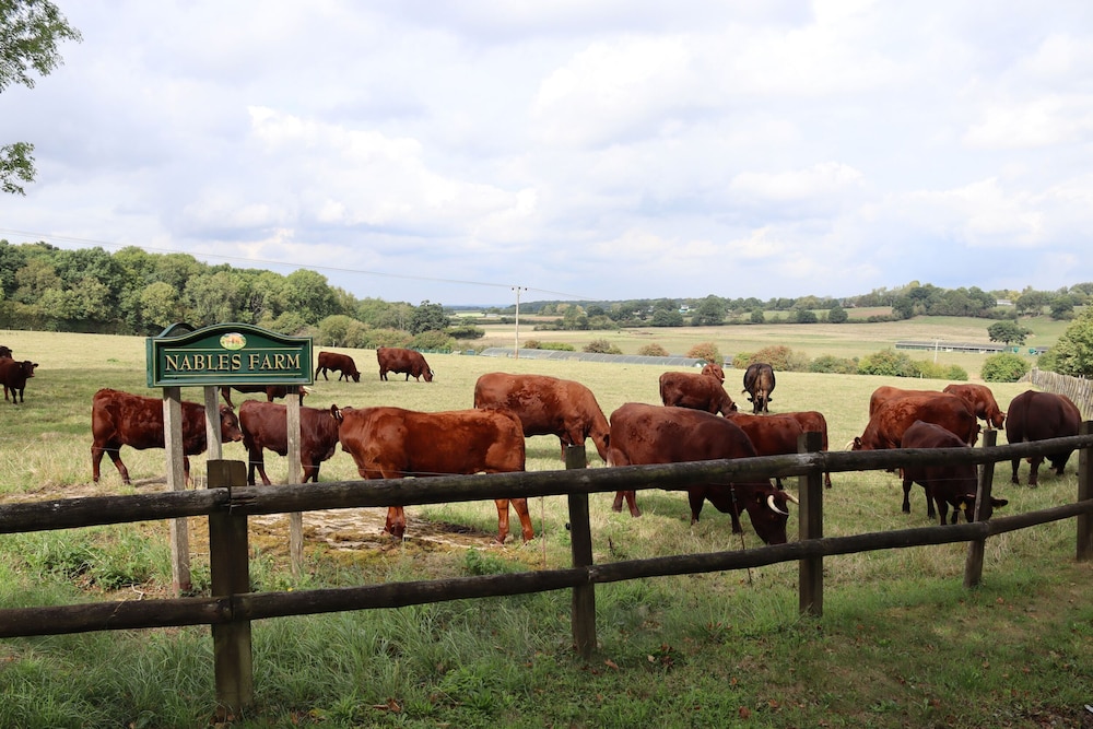 Leafield House @ Nables Farm