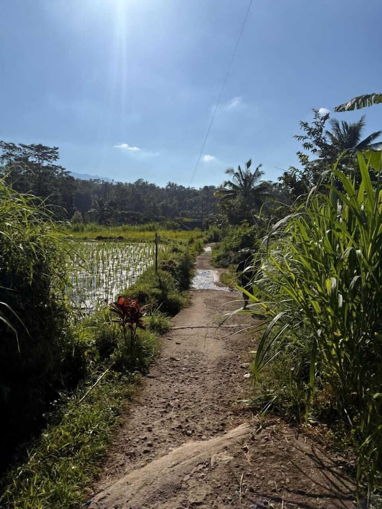 Tetebatu Valley Bungalows