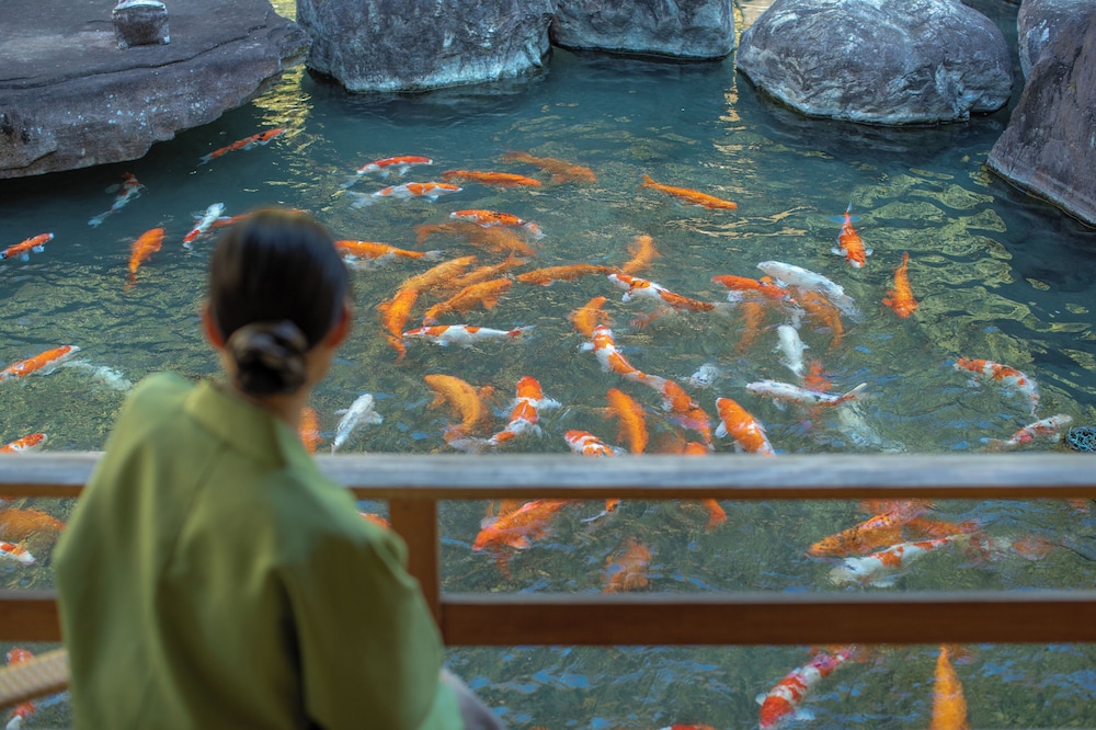 Fuefukigawa Onsen Zabou