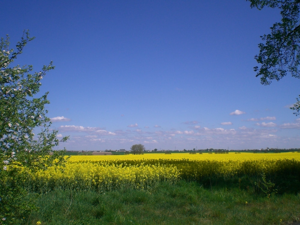 Nowa Holandia
