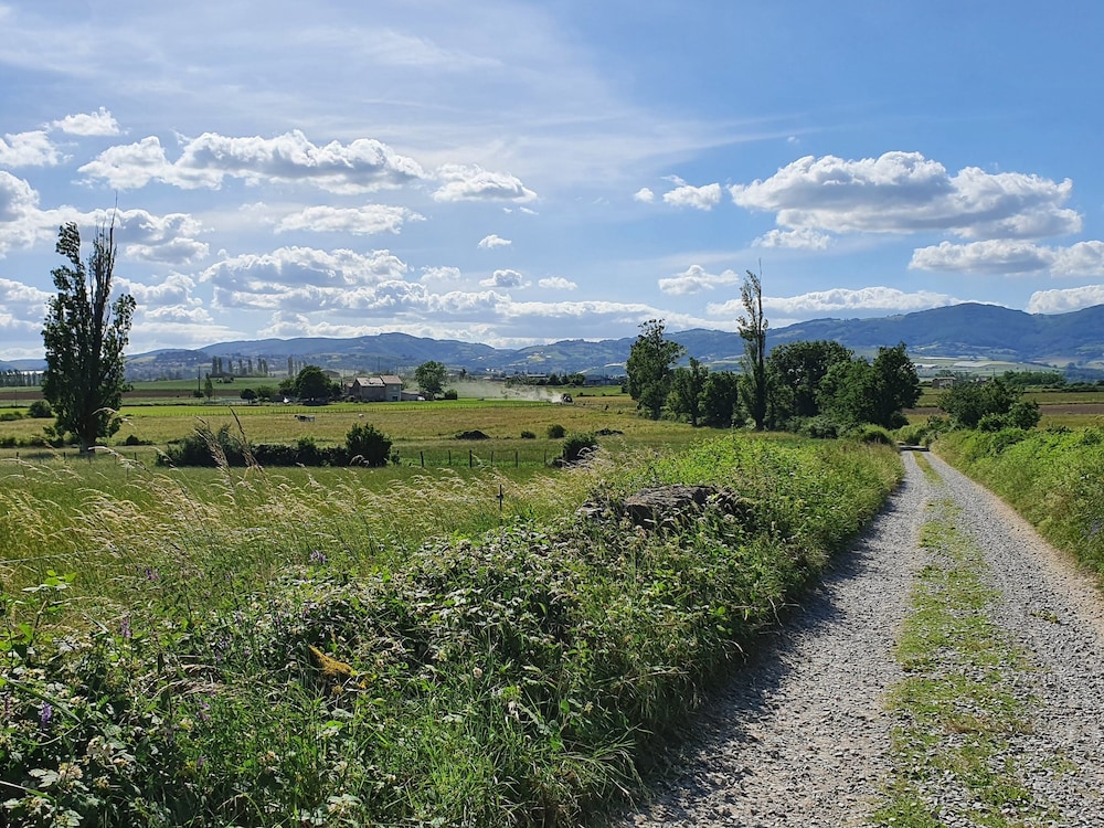 Photo 31