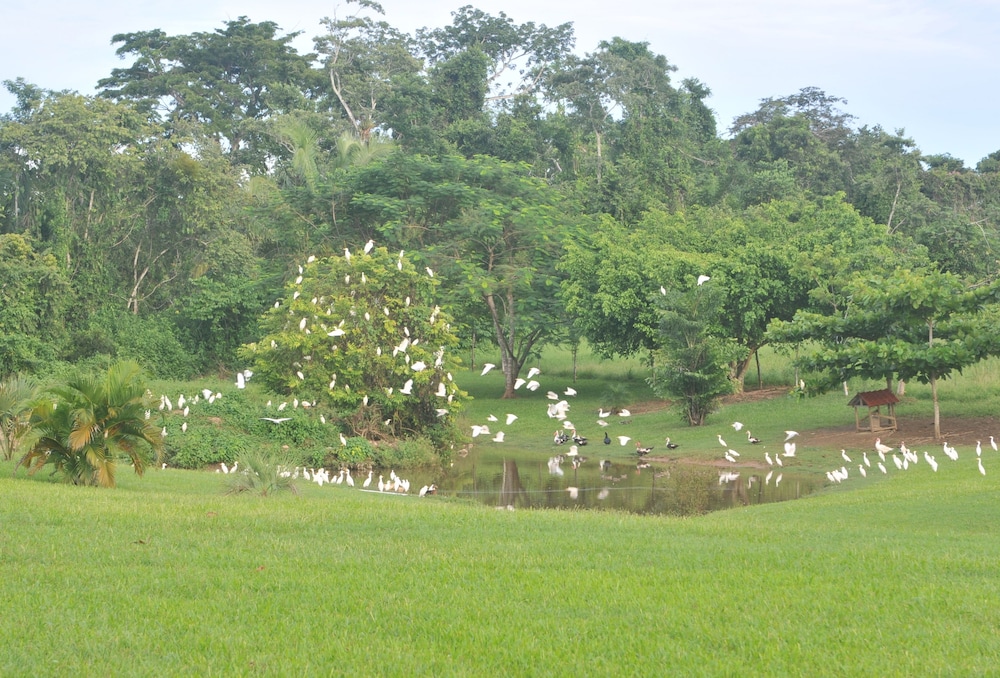 Rock Farm Guest House