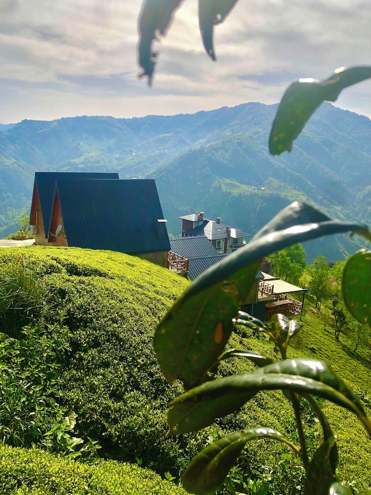 CELAZENİ BUNGALOV